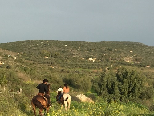 בשביל האושר - סוסים וריינג'ר